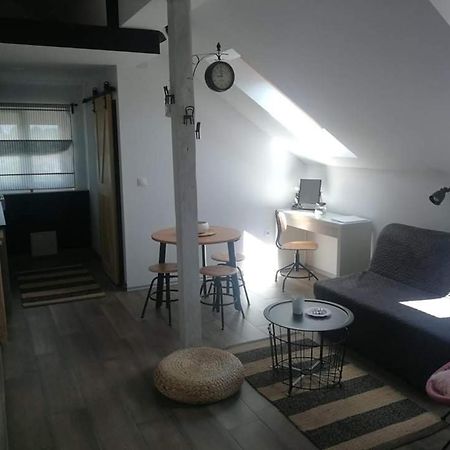 Studio Apartman Hana Διαμέρισμα Drežnik Grad Εξωτερικό φωτογραφία