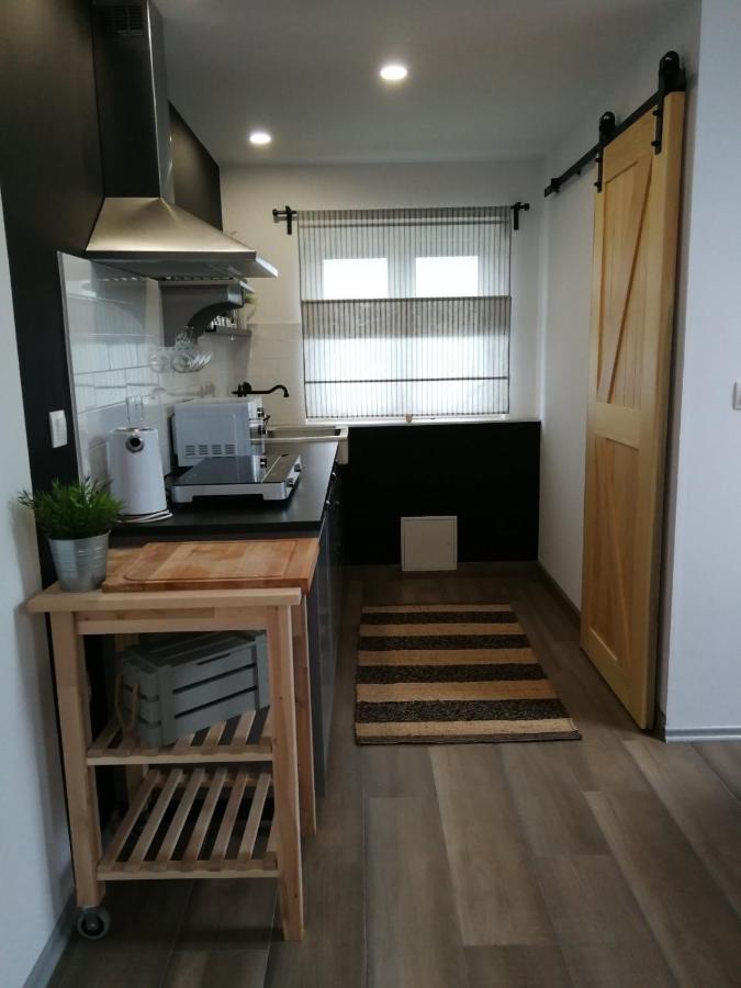 Studio Apartman Hana Διαμέρισμα Drežnik Grad Εξωτερικό φωτογραφία