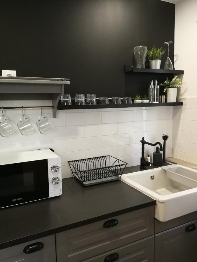 Studio Apartman Hana Διαμέρισμα Drežnik Grad Εξωτερικό φωτογραφία