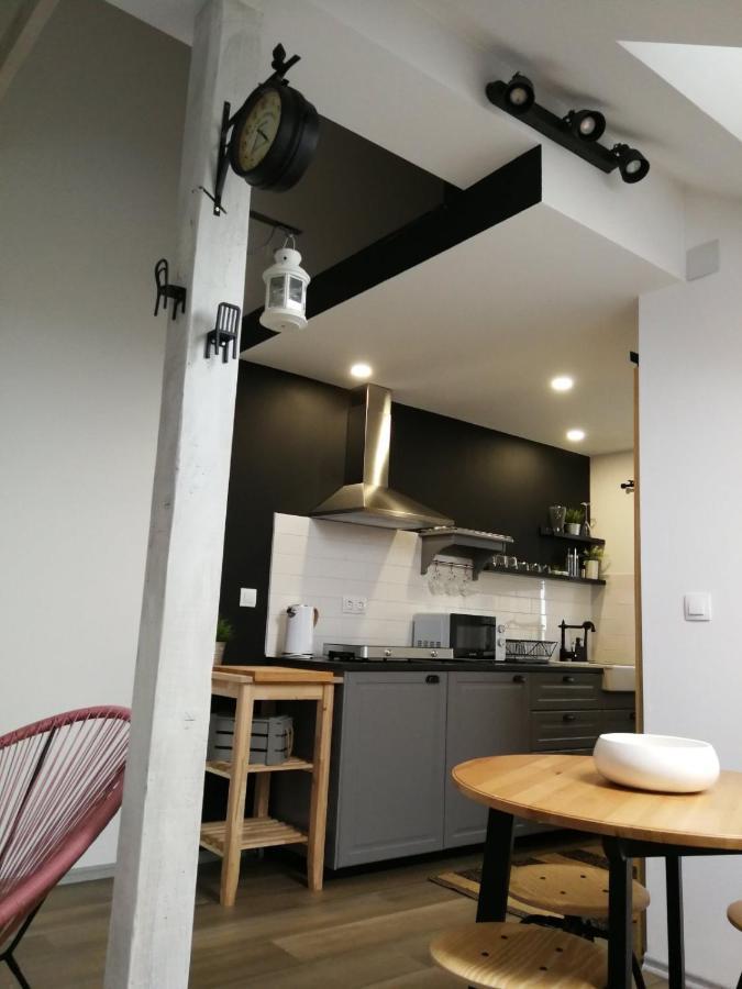 Studio Apartman Hana Διαμέρισμα Drežnik Grad Εξωτερικό φωτογραφία