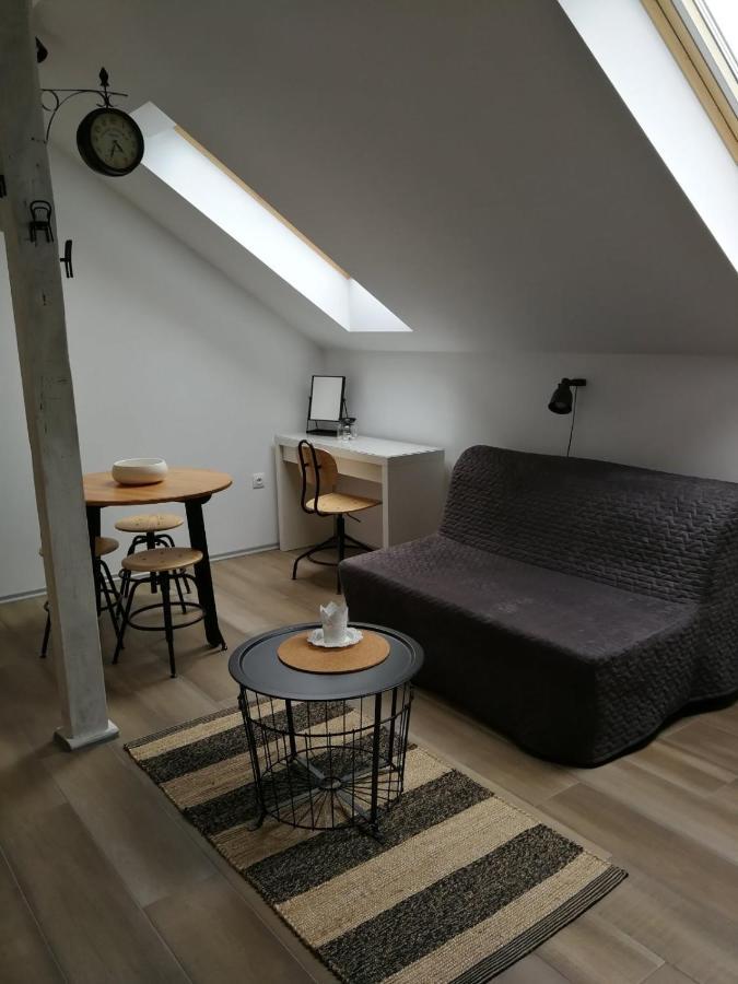 Studio Apartman Hana Διαμέρισμα Drežnik Grad Εξωτερικό φωτογραφία