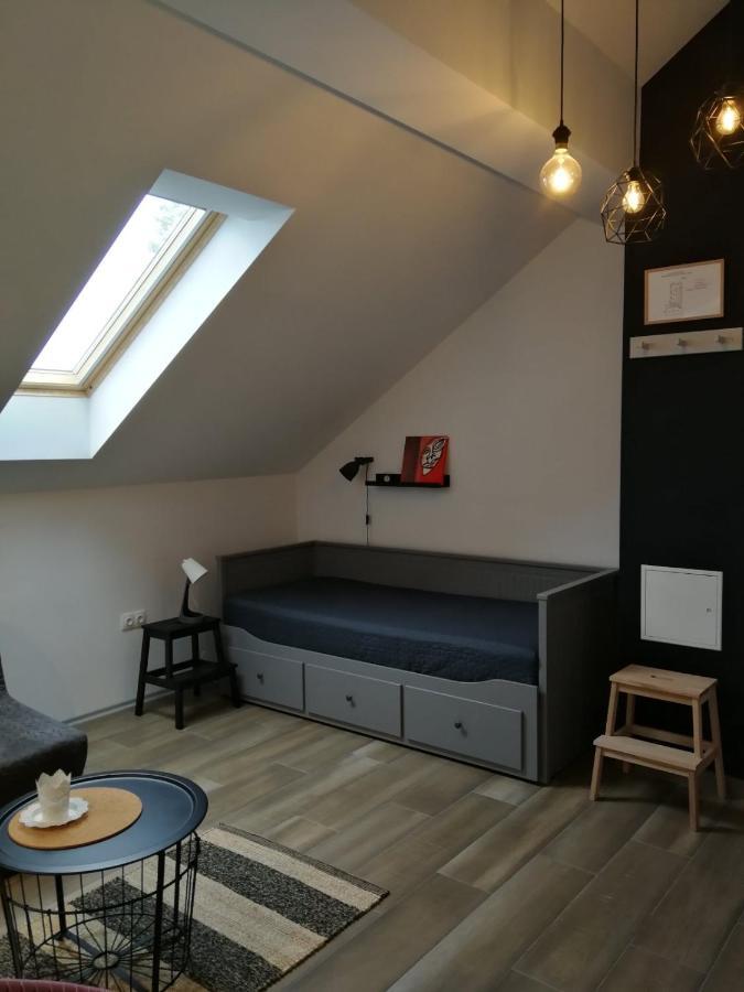 Studio Apartman Hana Διαμέρισμα Drežnik Grad Εξωτερικό φωτογραφία