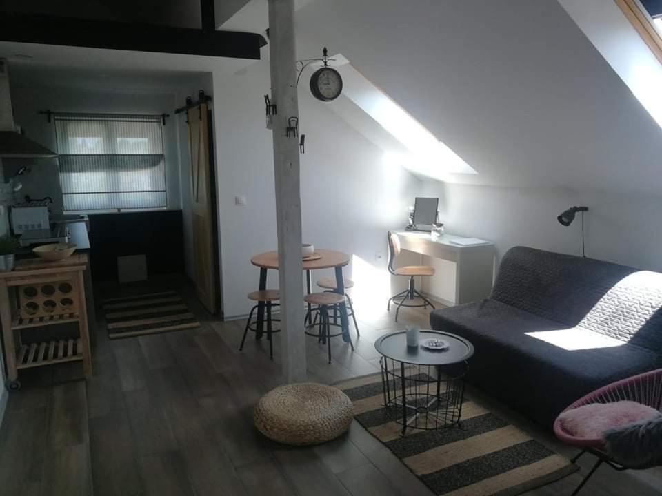 Studio Apartman Hana Διαμέρισμα Drežnik Grad Εξωτερικό φωτογραφία