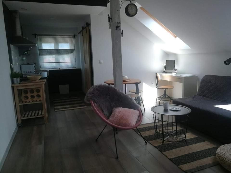 Studio Apartman Hana Διαμέρισμα Drežnik Grad Εξωτερικό φωτογραφία