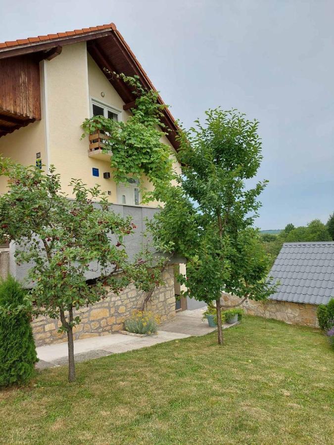 Studio Apartman Hana Διαμέρισμα Drežnik Grad Εξωτερικό φωτογραφία