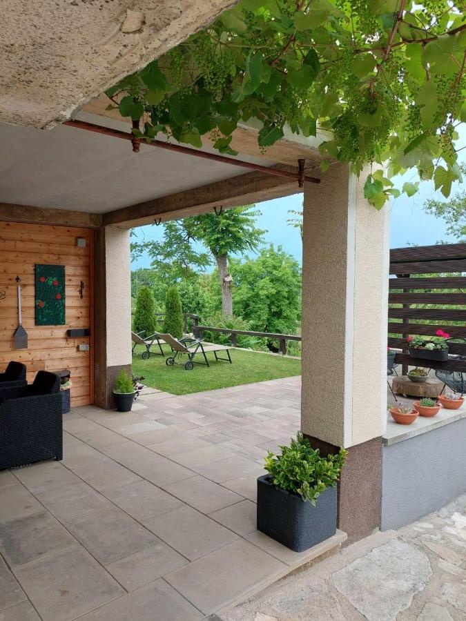 Studio Apartman Hana Διαμέρισμα Drežnik Grad Εξωτερικό φωτογραφία